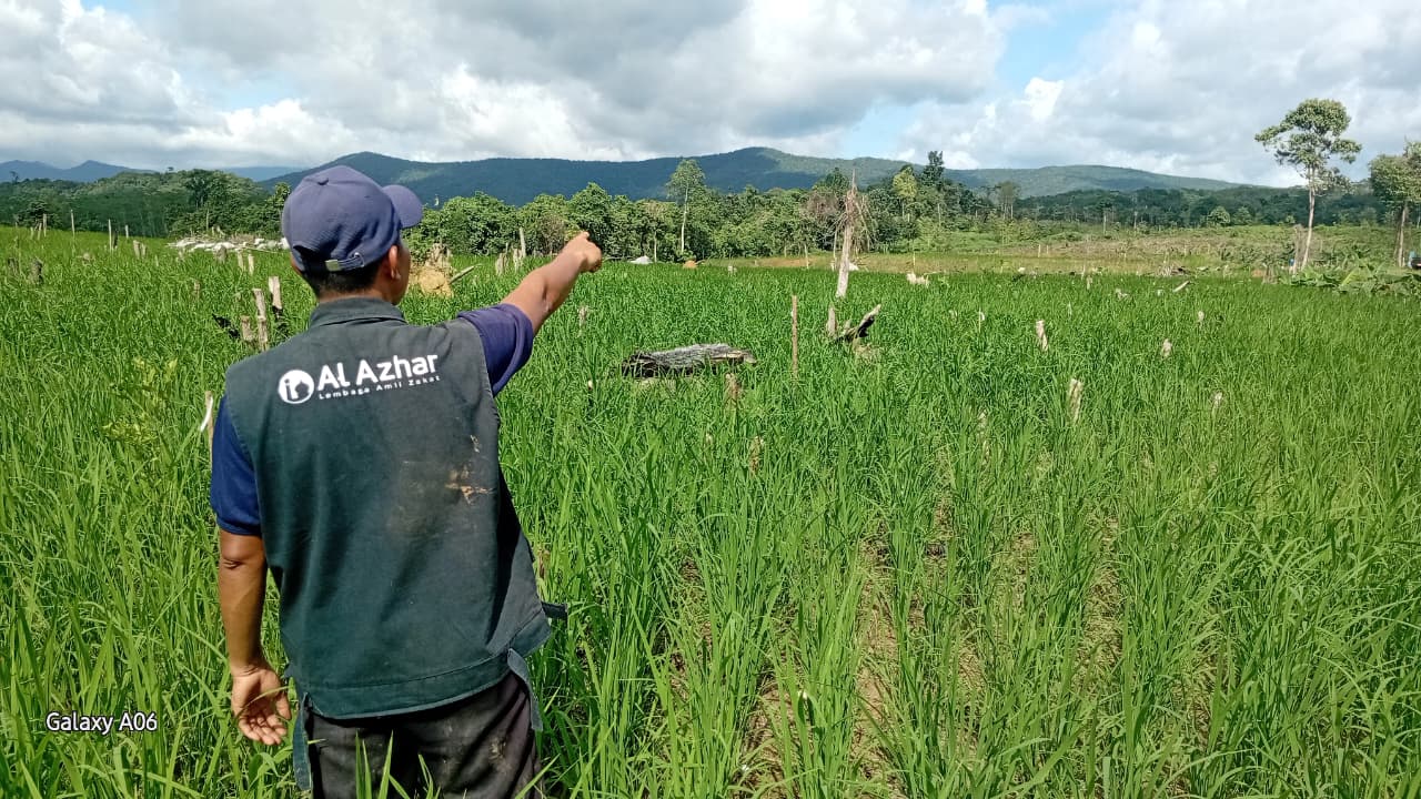 KPH Kusan Dorong Ketahanan Pangan Melalui Monitoring Agroforestry di Tanah Bumbu